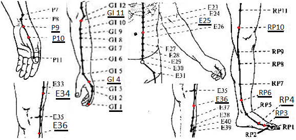    (P9),   (P10),   (GI 1),   (GI 4),   (GI 11),   (E25),   (E34),    (E36),   (RP3),   (RP4),    (RP6),   (RP10)