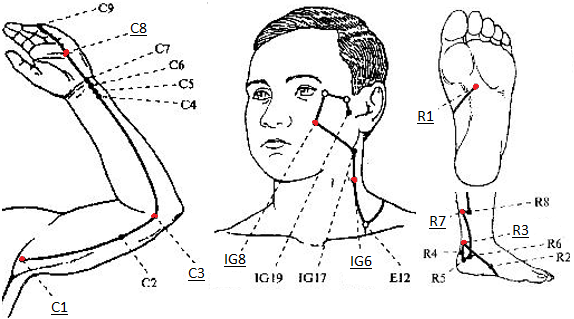    (C1),   (C3),   (C8),   (IG6),   (IG8),   (V40),   (R1),   (R3),   (R7)