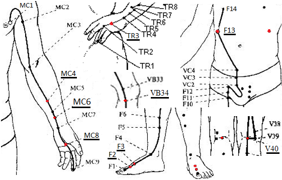    (MC4),   (MC6),   (MC8) ,   (TR3),    (VB34),   (F2),   (F3),   (F13)