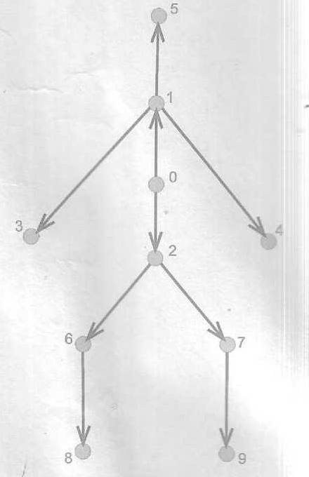 Скелет персонажа в виде однонаправленного графа-дерева